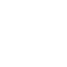 secure web mobile icon