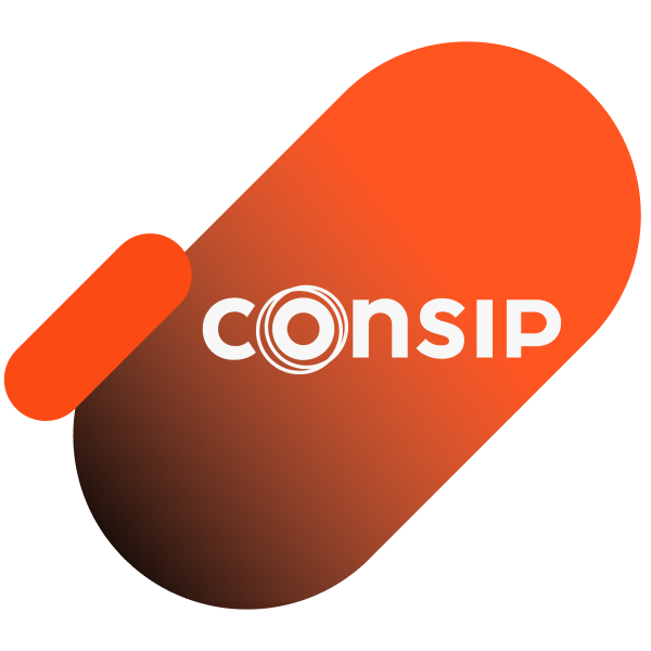 logo consip 