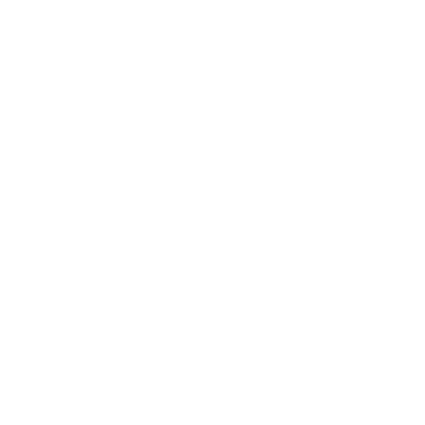 copilot